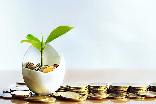 european money growth eggshell